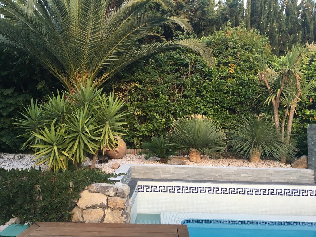 La Villa Blanche Sanary-sur-Mer Esterno foto
